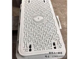 井蓋
